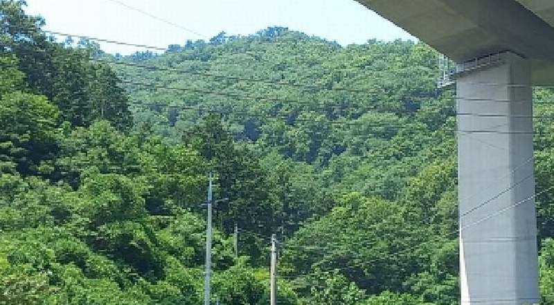 2025타경21595 경상남도 거제시 덕포동 산191 임야 경매 이미지