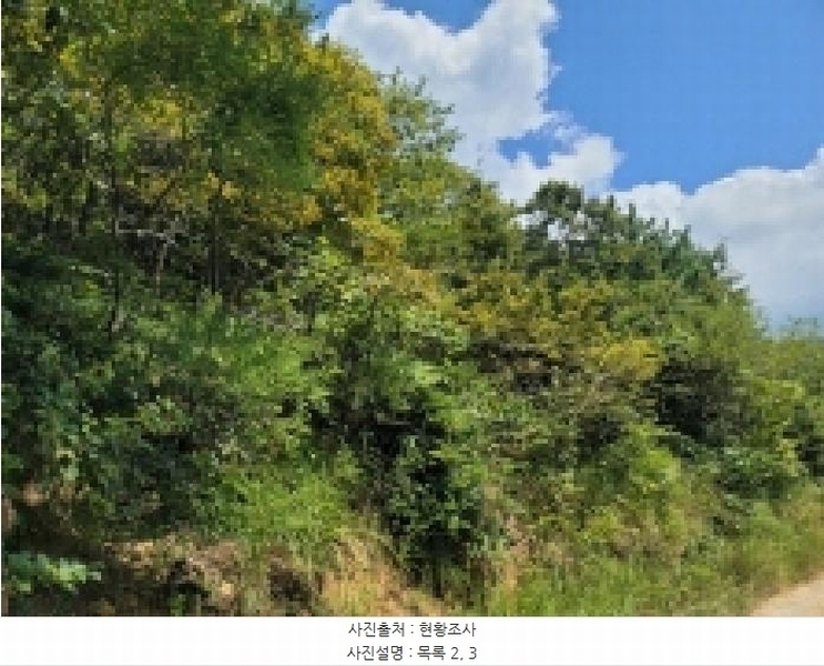2025타경21667 경상남도 거제시 둔덕면 학산리 산42-9 임야 경매 이미지