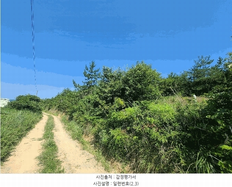 2025타경21667 경상남도 거제시 둔덕면 학산리 산42-9 임야 경매 이미지