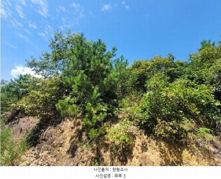 2025타경21667 경상남도 거제시 둔덕면 학산리 산42-9 임야 경매 이미지