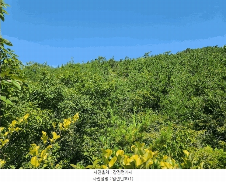 2025타경21667 경상남도 거제시 둔덕면 학산리 산42-9 임야 경매 이미지