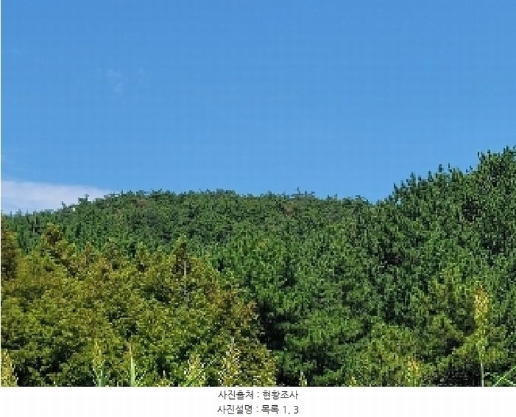 2025타경21667 경상남도 거제시 둔덕면 학산리 산42-9 임야 경매 이미지