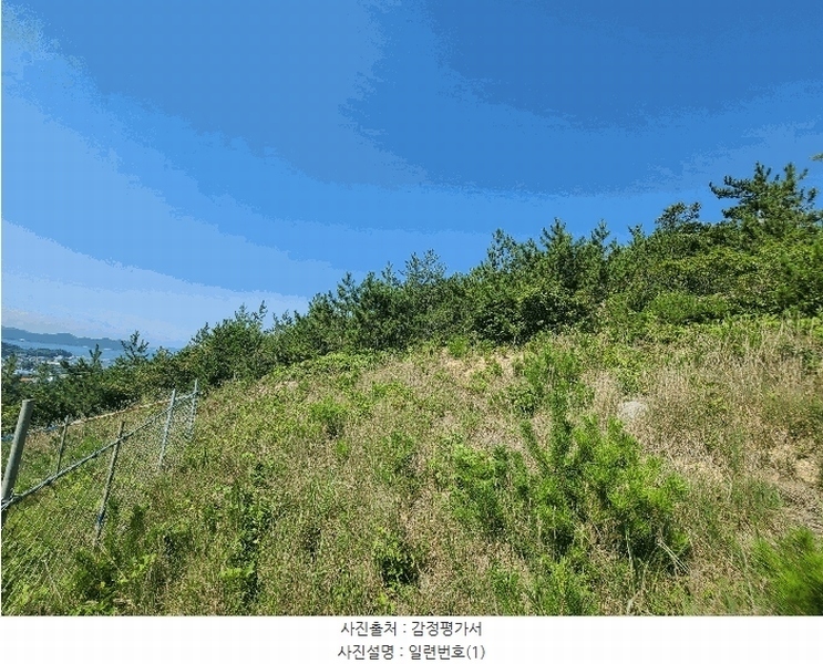 2025타경21667 경상남도 거제시 둔덕면 학산리 산42-9 임야 경매 이미지