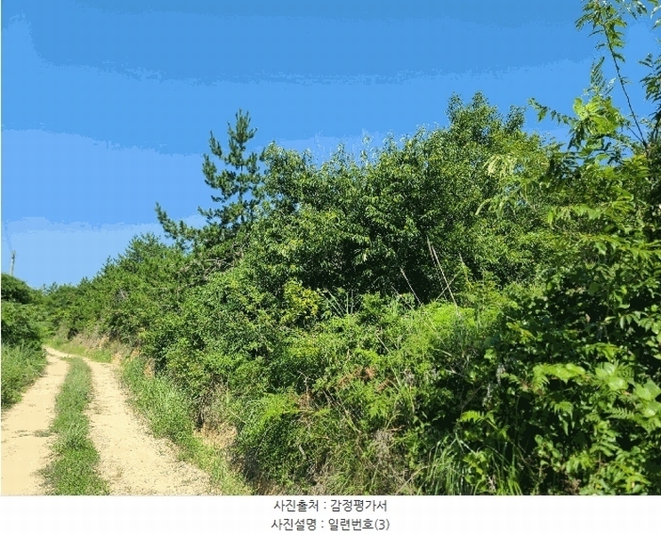 2025타경21667 경상남도 거제시 둔덕면 학산리 산42-9 임야 경매 이미지