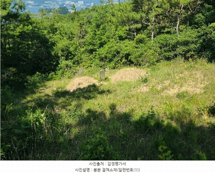 2025타경21667 경상남도 거제시 둔덕면 학산리 산42-9 임야 경매 이미지