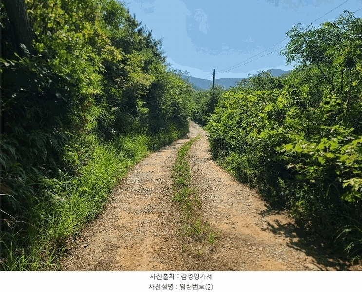 2025타경21667 경상남도 거제시 둔덕면 학산리 산42-9 임야 경매 이미지