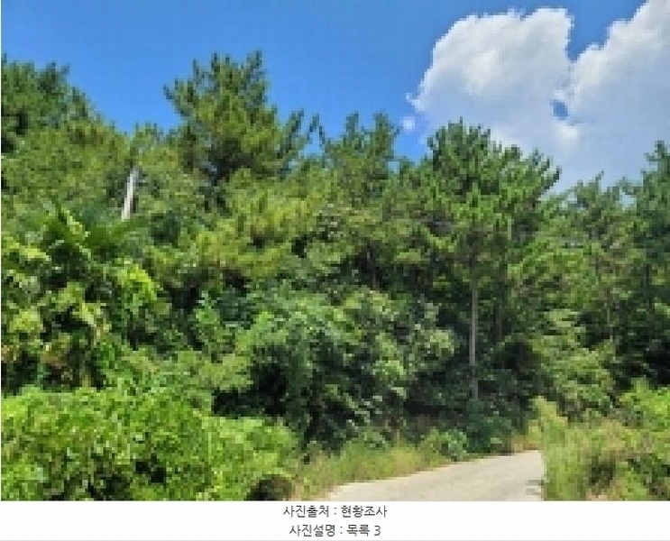 2025타경21667 경상남도 거제시 둔덕면 학산리 산42-9 임야 경매 이미지