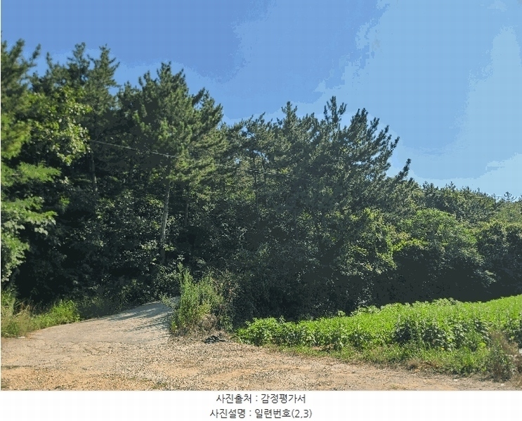 2025타경21667 경상남도 거제시 둔덕면 학산리 산42-9 임야 경매 이미지