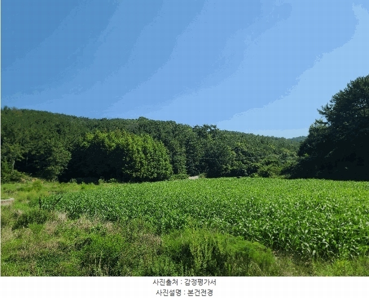 2025타경21667 경상남도 거제시 둔덕면 학산리 산42-9 임야 경매 이미지