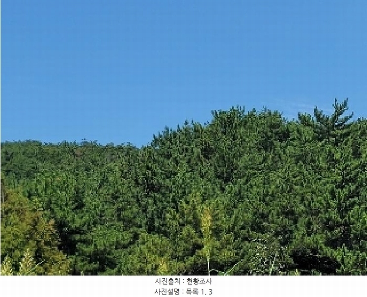 2025타경21667 경상남도 거제시 둔덕면 학산리 산42-9 임야 경매 이미지