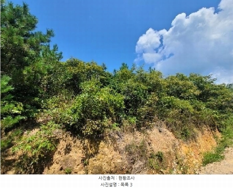 2025타경21667 경상남도 거제시 둔덕면 학산리 산42-9 임야 경매 이미지