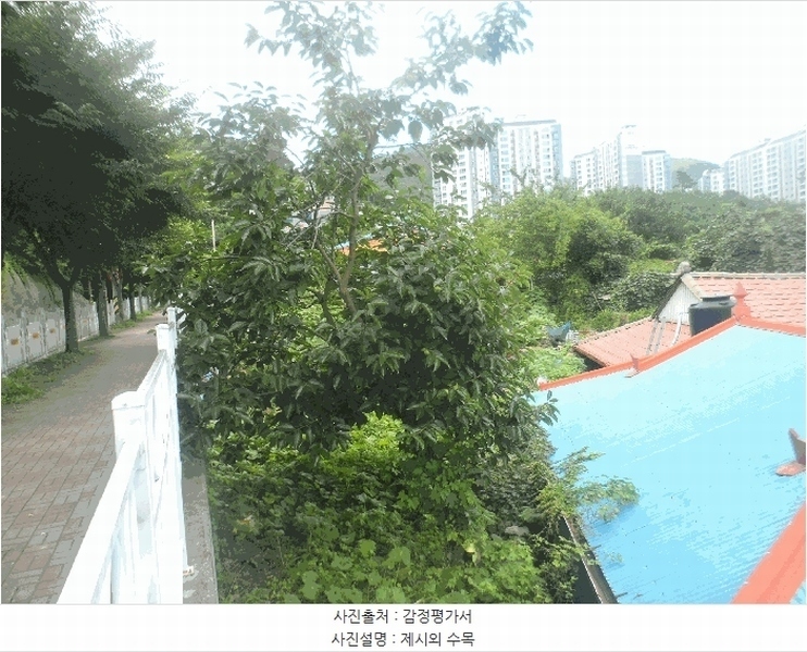 2025타경21683 경상남도 거제시 아주동 1268 대지 경매 이미지