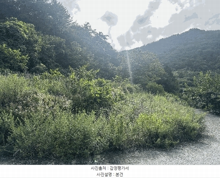 2025타경21747 경상남도 통영시 광도면 죽림리 1226-1 농지 경매 이미지