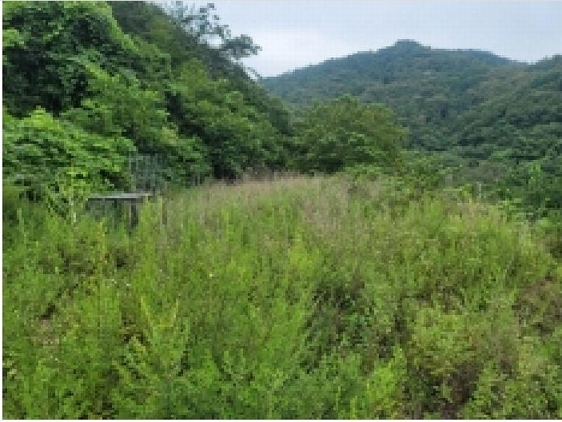 2025타경21747 경상남도 통영시 광도면 죽림리 1226-1 농지 경매 이미지