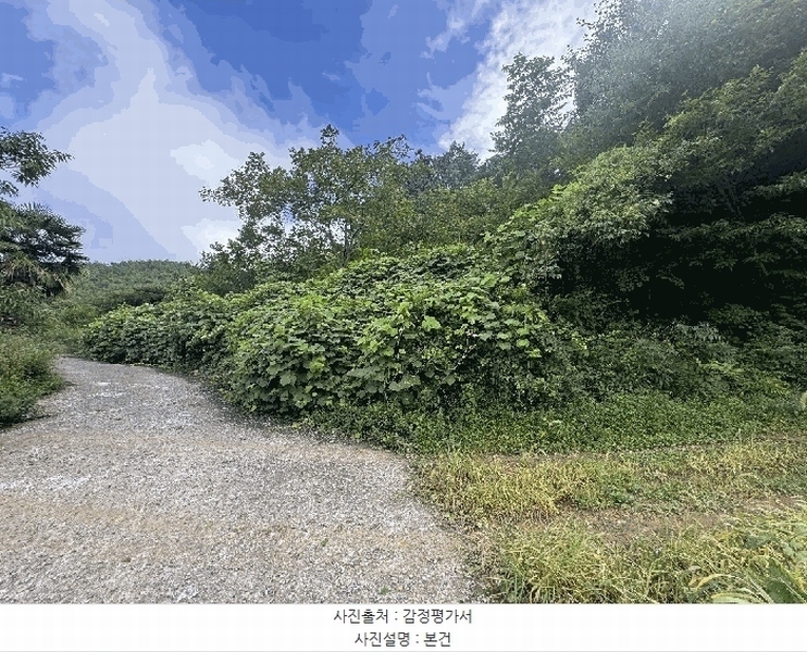 2025타경21747 경상남도 통영시 광도면 죽림리 1226-1 농지 경매 이미지