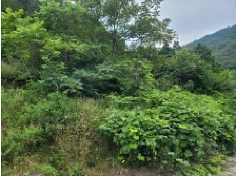 2025타경21747 경상남도 통영시 광도면 죽림리 1226-1 농지 경매 이미지