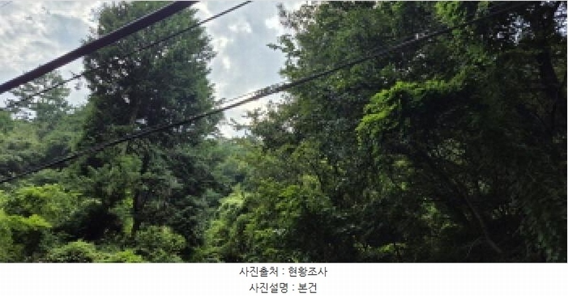 2025타경21795 경상남도 고성군 마암면 삼락리 산258 임야 경매 이미지
