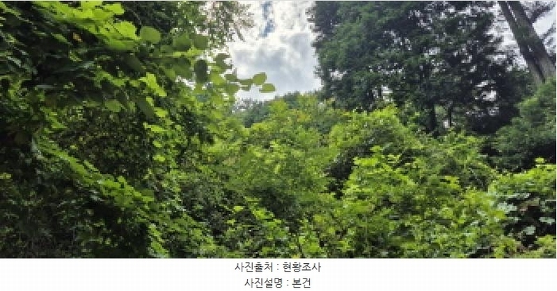 2025타경21795 경상남도 고성군 마암면 삼락리 산258 임야 경매 이미지