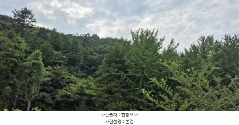 2025타경21795 경상남도 고성군 마암면 삼락리 산258 임야 경매 이미지