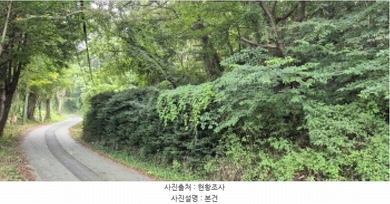 2025타경21795 경상남도 고성군 마암면 삼락리 산258 임야 경매 이미지