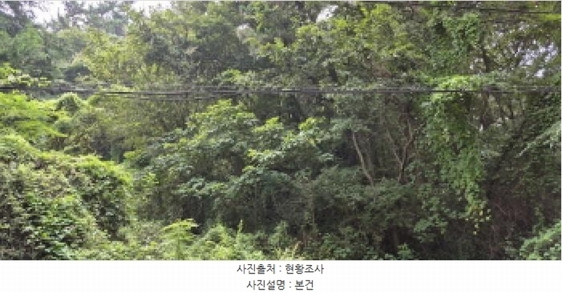 2025타경21795 경상남도 고성군 마암면 삼락리 산258 임야 경매 이미지