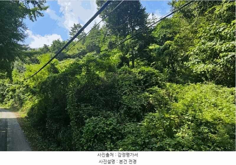 2025타경21795 경상남도 고성군 마암면 삼락리 산258 임야 경매 이미지