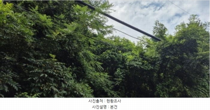 2025타경21795 경상남도 고성군 마암면 삼락리 산258 임야 경매 이미지