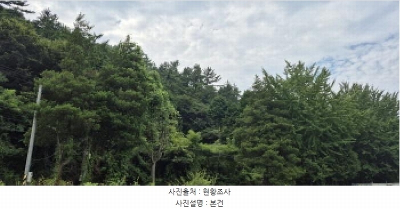 2025타경21795 경상남도 고성군 마암면 삼락리 산258 임야 경매 이미지