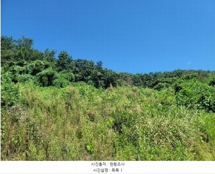 2025타경21826 경상남도 통영시 산양읍 남평리 1122-2 농지 경매 이미지