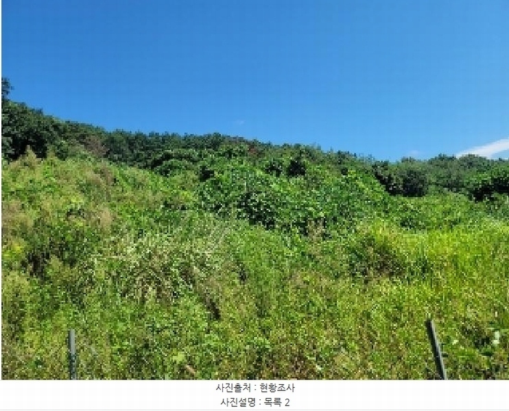 2025타경21826 경상남도 통영시 산양읍 남평리 1122-2 농지 경매 이미지