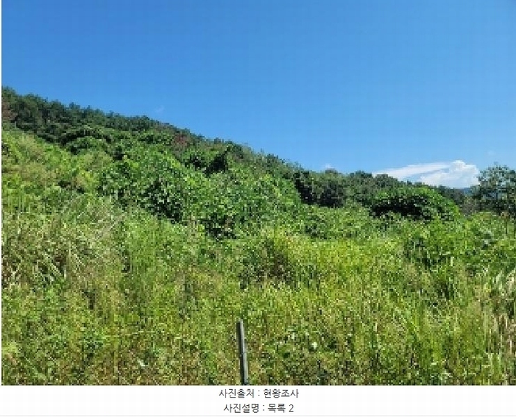 2025타경21826 경상남도 통영시 산양읍 남평리 1122-2 농지 경매 이미지