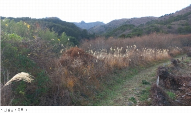 2023타경30630 경상남도 거제시 동부면 학동리 448 농지 경매 이미지