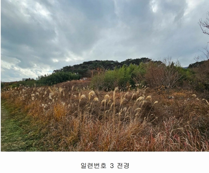 2023타경30630 경상남도 거제시 동부면 학동리 448 농지 경매 이미지