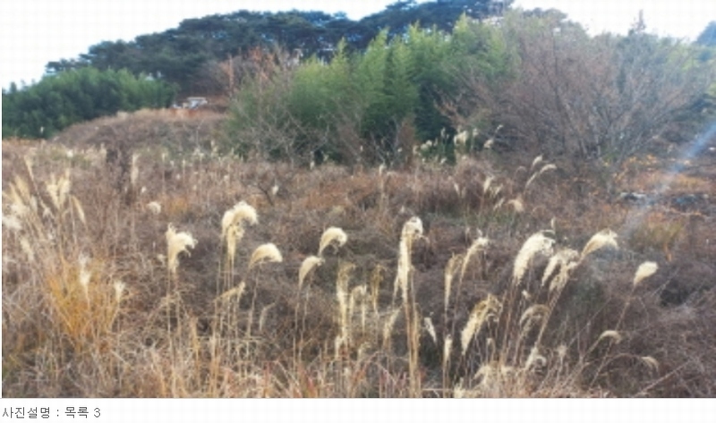 2023타경30630 경상남도 거제시 동부면 학동리 448 농지 경매 이미지