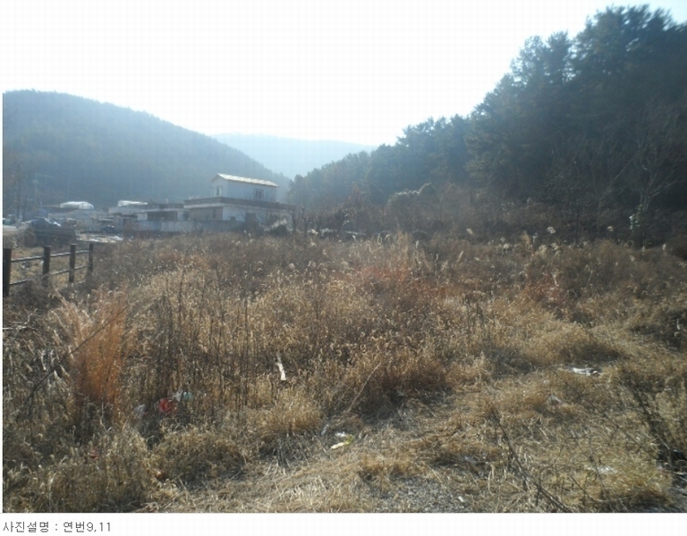2024타경63 경상남도 통영시 도산면 법송리 1250-3 근린시설 경매 이미지