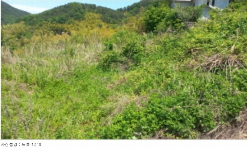 2024타경2199 경상남도 거제시 하청면 하청리 385-1 대지 경매 이미지