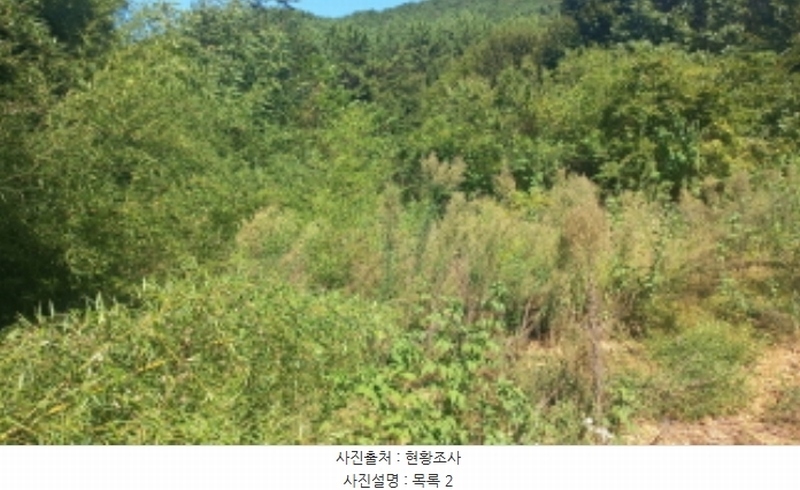 2024타경3895 경상남도 고성군 대가면 암전리 385-1 농지 경매 이미지