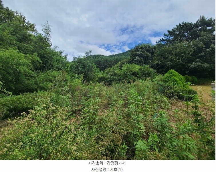 2024타경3895 경상남도 고성군 대가면 암전리 385-1 농지 경매 이미지