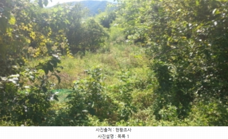 2024타경3895 경상남도 고성군 대가면 암전리 385-1 농지 경매 이미지