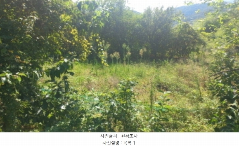 2024타경3895 경상남도 고성군 대가면 암전리 385-1 농지 경매 이미지