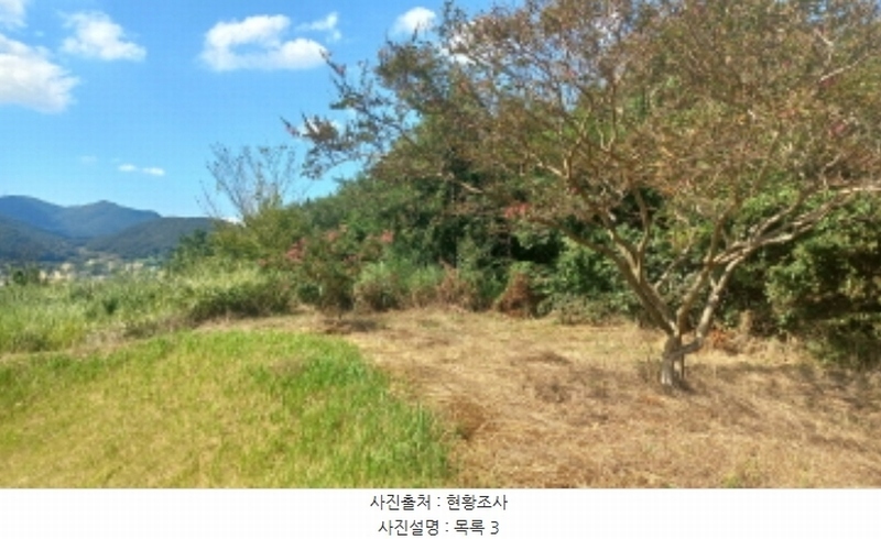 2024타경3895 경상남도 고성군 대가면 암전리 385-1 농지 경매 이미지