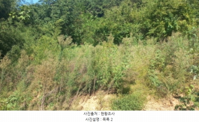 2024타경3895 경상남도 고성군 대가면 암전리 385-1 농지 경매 이미지