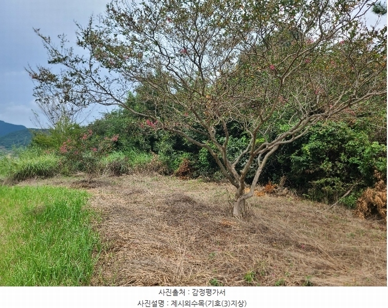 2024타경3895 경상남도 고성군 대가면 암전리 385-1 농지 경매 이미지