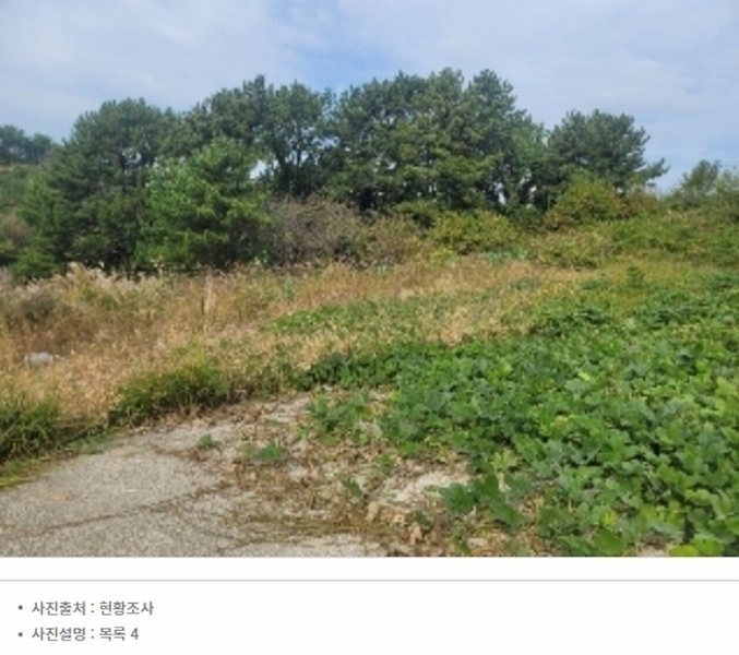 2024타경3987 경상남도 통영시 용남면 장평리 651-1 근린시설 경매 이미지