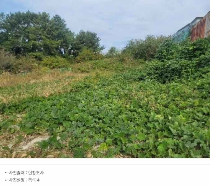 2024타경3987 경상남도 통영시 용남면 장평리 651-1 근린시설 경매 이미지
