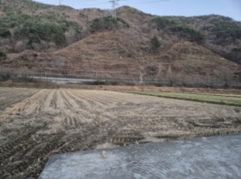 2024타경5242 경상남도 고성군 상리면 오산리 264-9 농지 경매 이미지