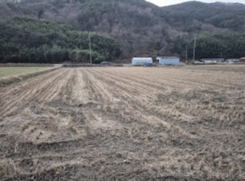 2024타경5242 경상남도 고성군 상리면 오산리 264-9 농지 경매 이미지