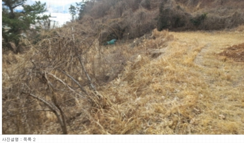 2024타경21299 경상남도 거제시 옥포동 98-7 농지 경매 이미지