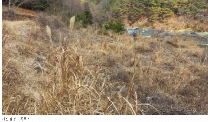 2024타경21299 경상남도 거제시 옥포동 98-7 농지 경매 이미지
