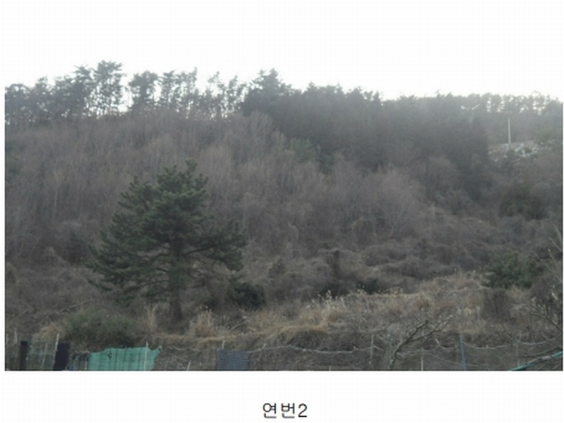 2024타경21299 경상남도 거제시 옥포동 98-7 농지 경매 이미지